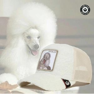 LIMITED ADDITION Goorin Bros Fuzzy Trucker Hat